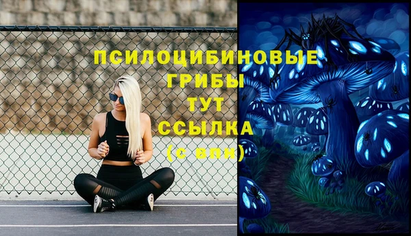 а пвп мука Белокуриха